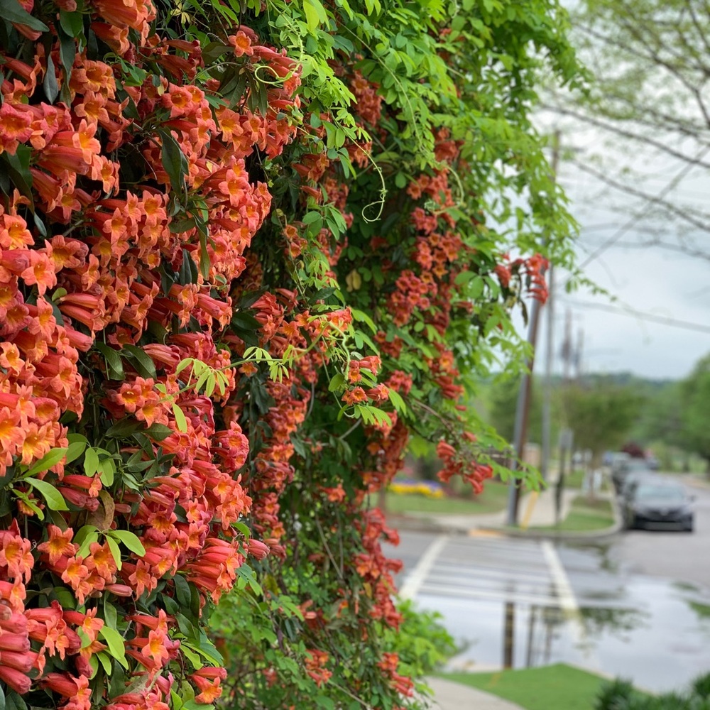 Meet your Posher, Lora